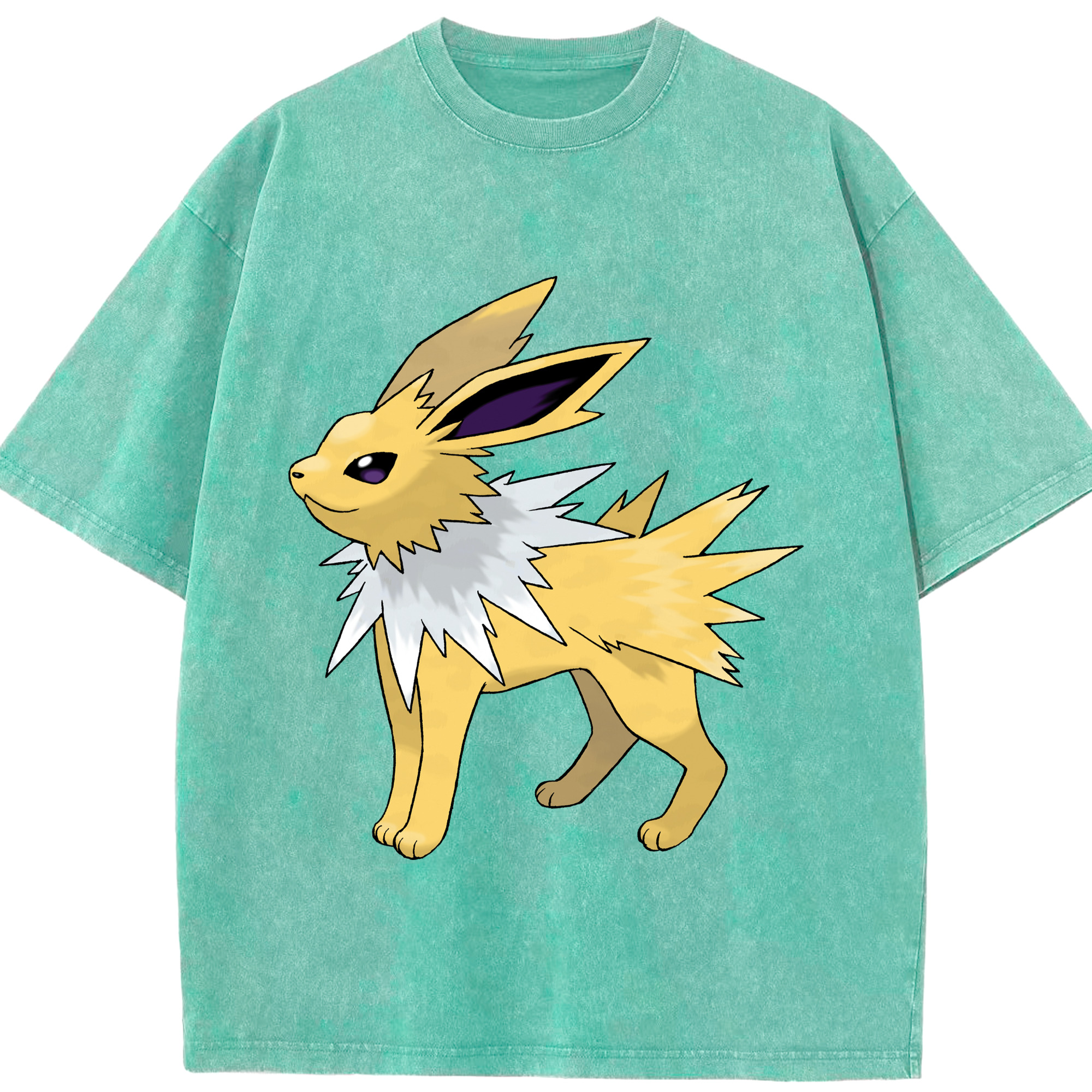 （画像用） ポケットモンスター Pokémon 綿100% ヴィンテージ風 半袖Tシャツ（フロントプリント）
